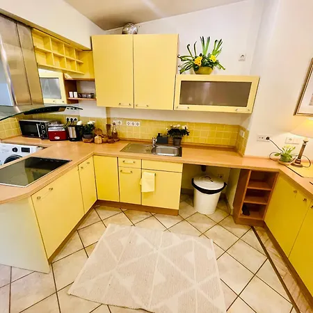 Penthouse With Private Rooftop 里加