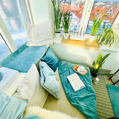 公寓 Penthouse With Private Rooftop