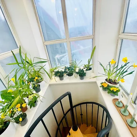 Dzīvoklis Penthouse With Private Rooftop
