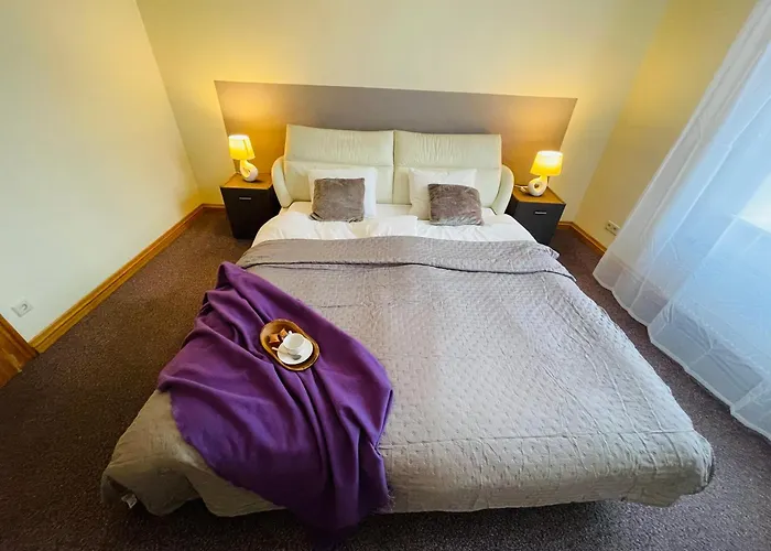 公寓 Penthouse With Private Rooftop 里加